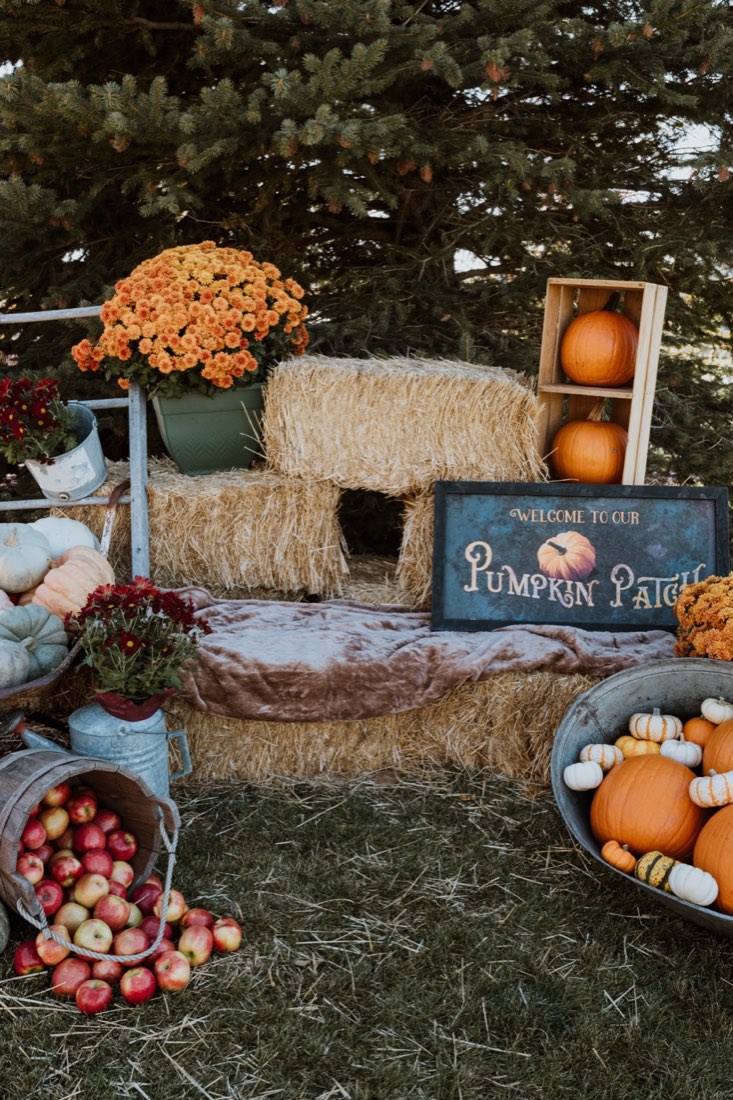 The pumpkin patch photo op at Fall Fest, with hay bales, mums and apples