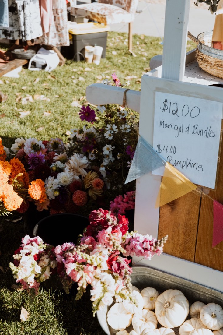 Flowers and pumpkins for sale at the Fall Fest Marketplace